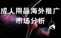成人用品海外推廣方式以及市場分析-專注于品牌獨立站搭建